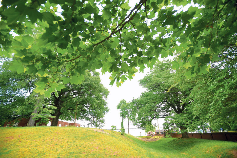 2014-06-15 Fort Hill - Fort Early mounds